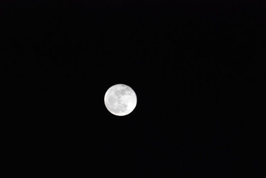 20120408-220758.jpg